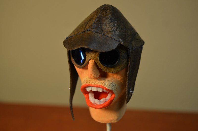 Pilot